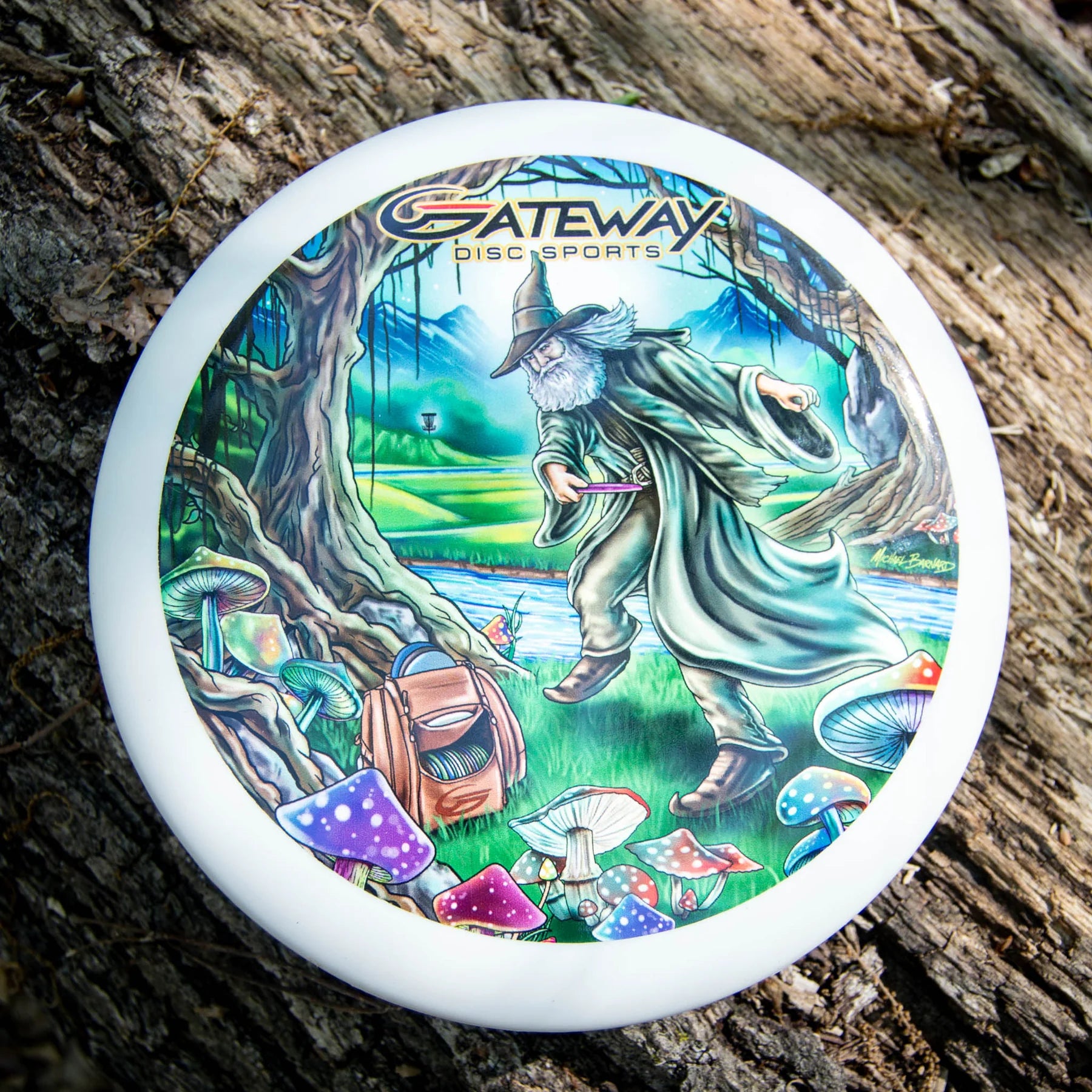 Gateway Wizard - Vivid Color #4