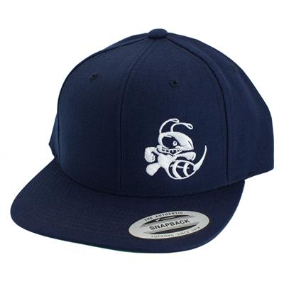Discraft Buzzz Snapback Hat – Solid Color