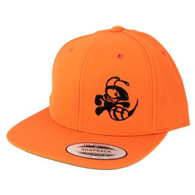 Discraft Buzzz Snapback Hat – Solid Color