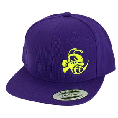 Discraft Buzzz Snapback Hat – Solid Color