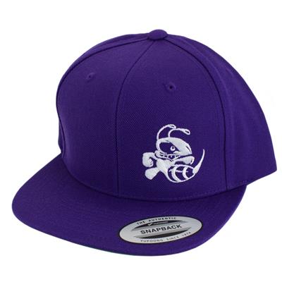 Discraft Buzzz Snapback Hat – Solid Color