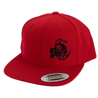 Discraft Buzzz Snapback Hat – Solid Color
