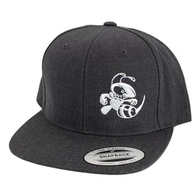 Discraft Buzzz Snapback Hat – Solid Color