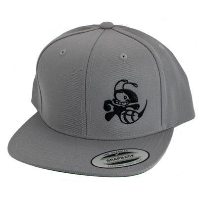 Discraft Buzzz Snapback Hat – Solid Color