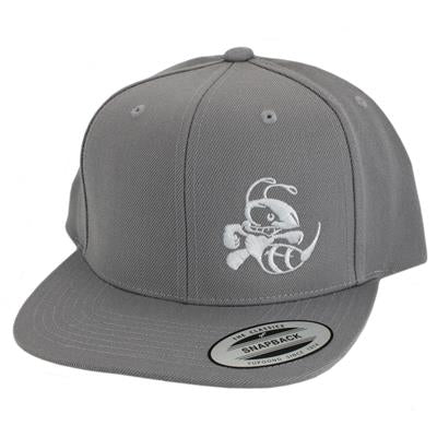Discraft Buzzz Snapback Hat – Solid Color