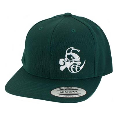 Discraft Buzzz Snapback Hat – Solid Color