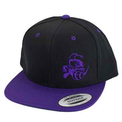 Discraft Two‑Tone Buzzz Snapback Hat
