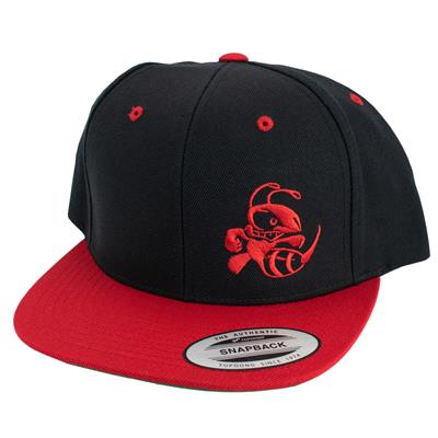 Discraft Two‑Tone Buzzz Snapback Hat
