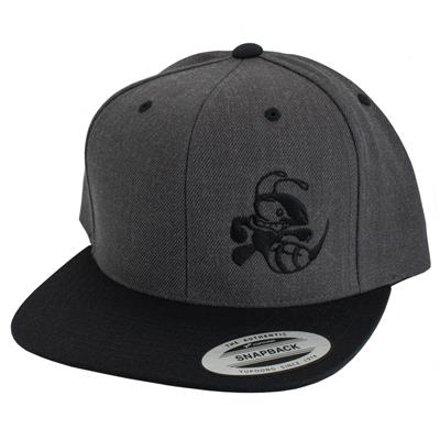 Discraft Two‑Tone Buzzz Snapback Hat