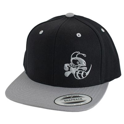 Discraft Two‑Tone Buzzz Snapback Hat