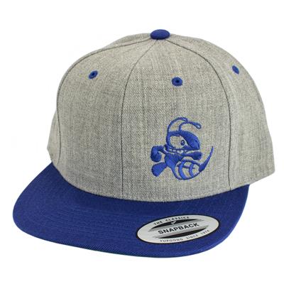 Discraft Two‑Tone Buzzz Snapback Hat