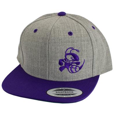 Discraft Two‑Tone Buzzz Snapback Hat