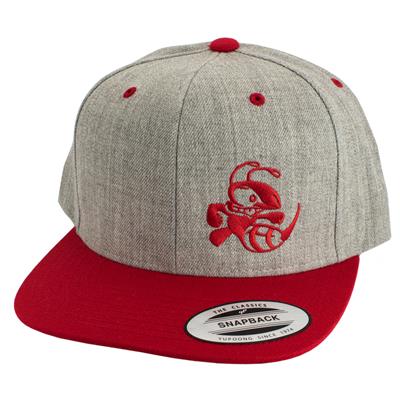 Discraft Two‑Tone Buzzz Snapback Hat