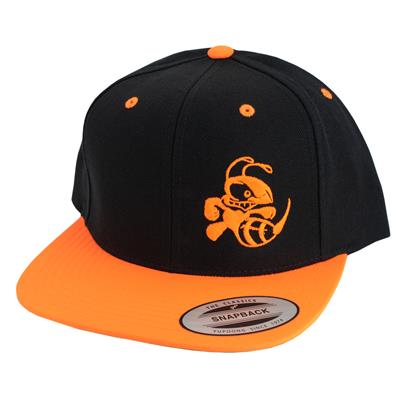 Discraft Two‑Tone Buzzz Snapback Hat