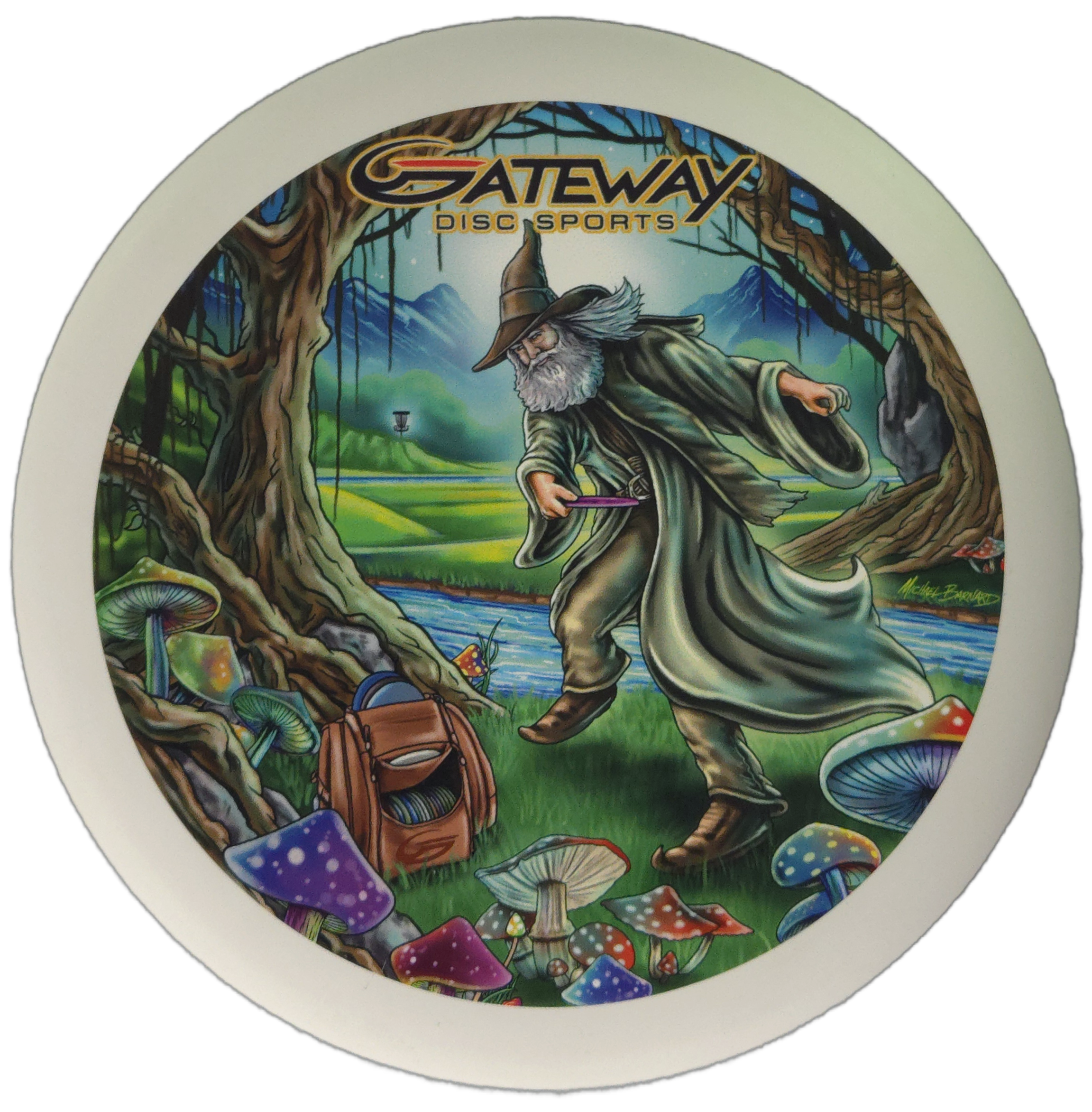 Gateway Wizard - Vivid Color #4