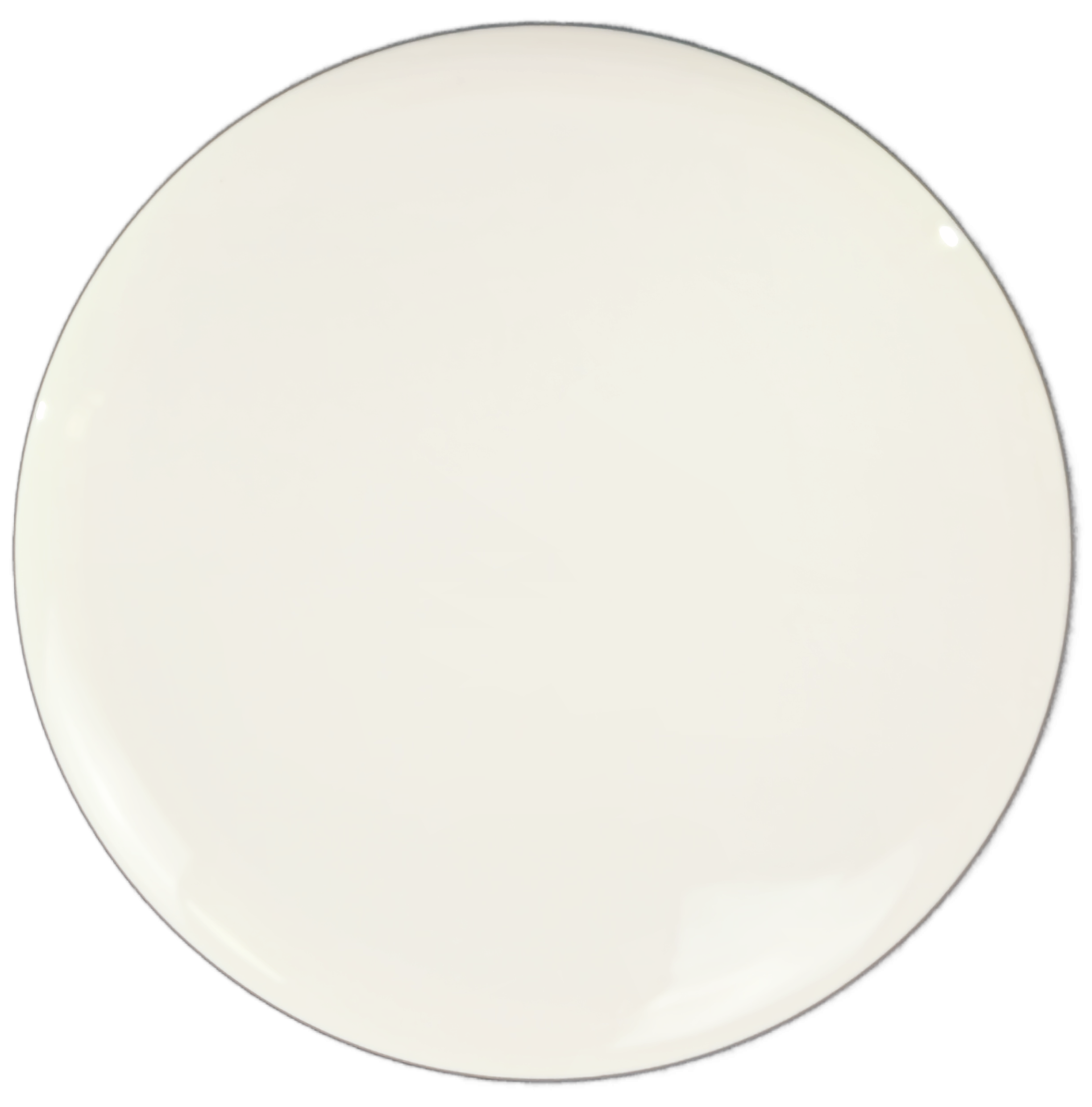 Dynamic Discs Escape – Blank Canvas (Fuzion)