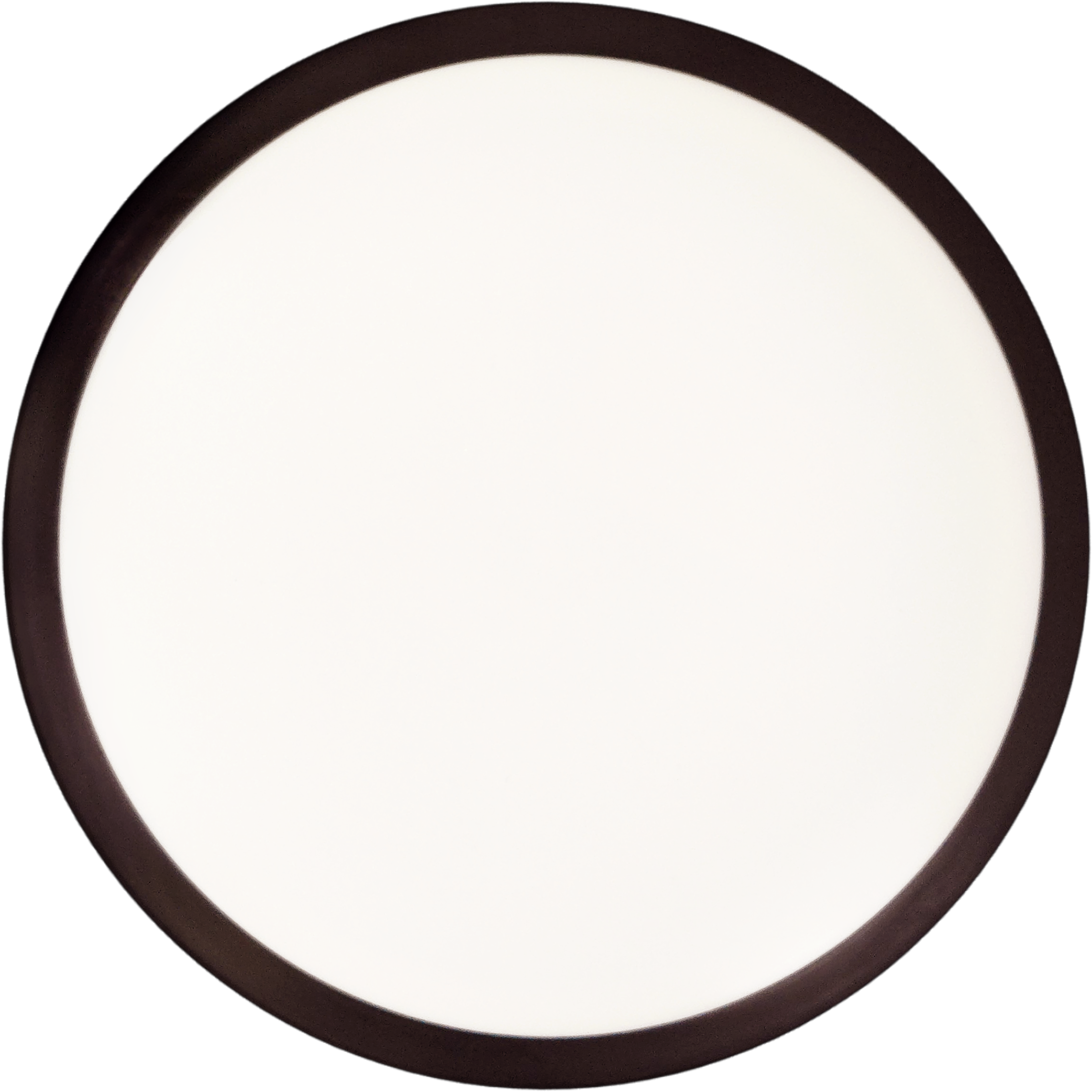 MVP Signal – Stampless / Blank